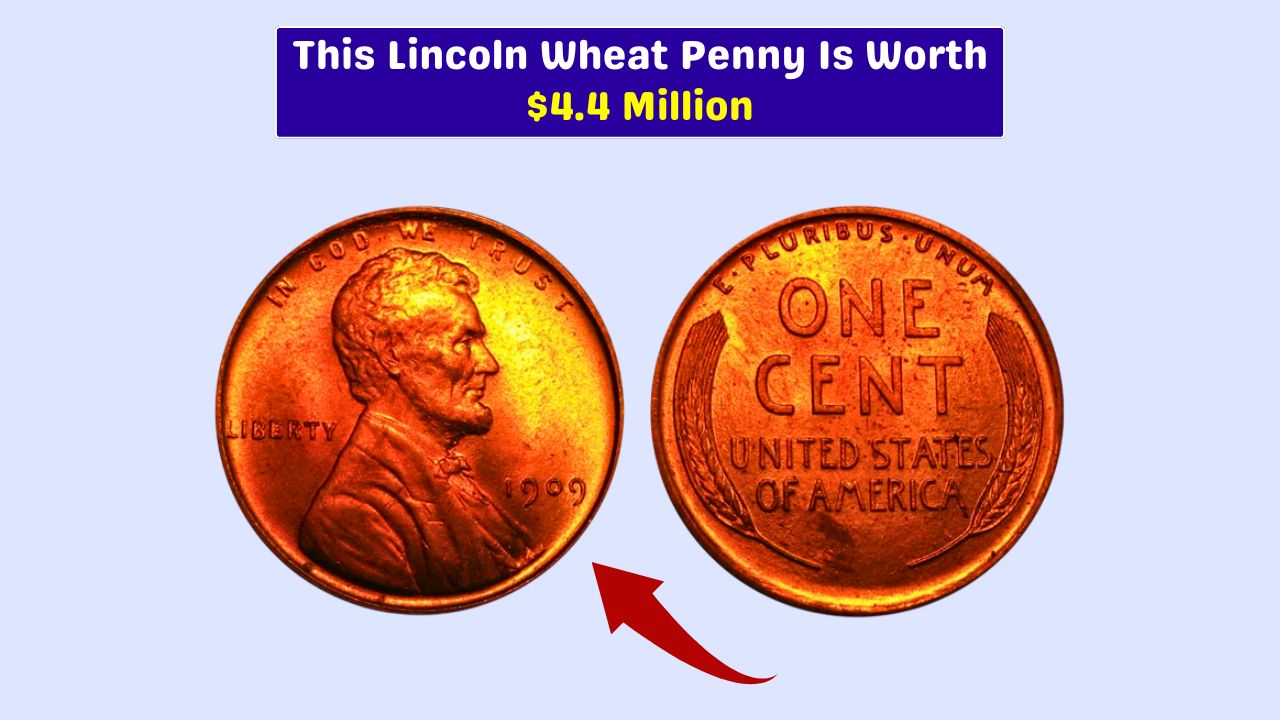 1909 Lincoln Wheat Penny